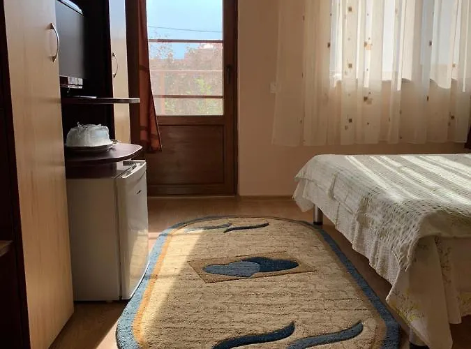 Corina Guest house 3*