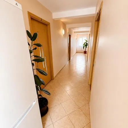Corina Guest house 3*
