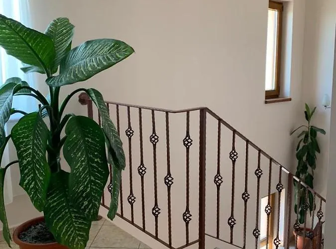 Corina ゲストハウス